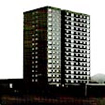Main picture